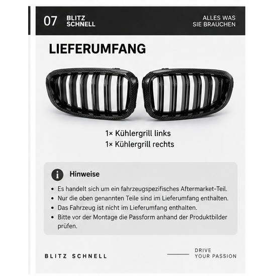 BMW M4 F82 F83 Carbon Nierengrill Austausch – Lieferumfang