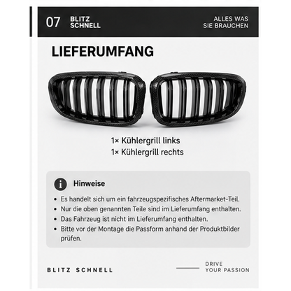 BMW M4 F82 F83 Carbon Nierengrill Austausch – Lieferumfang